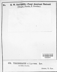 Image Associated With the Occurence